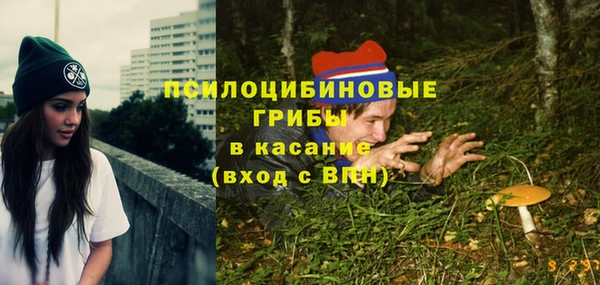 spice Беломорск