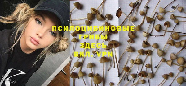 a pvp Белокуриха