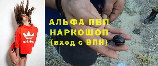 spice Беломорск